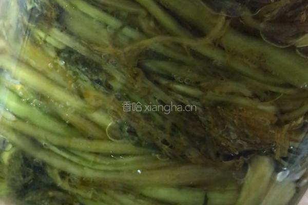 雪菜汁煮玉螺的做法图解2