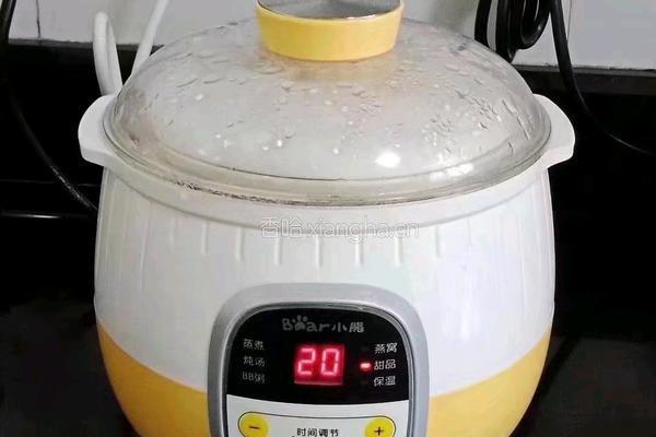 木瓜银耳汤 (宝宝辅食）的做法图解9