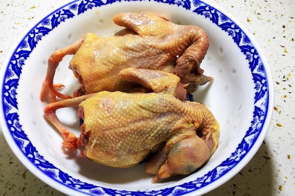 烤乳鸽的做法图解1