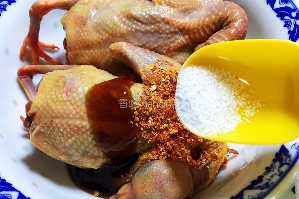 烤乳鸽的做法图解4