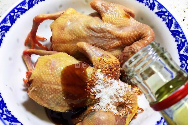 烤乳鸽的做法图解5