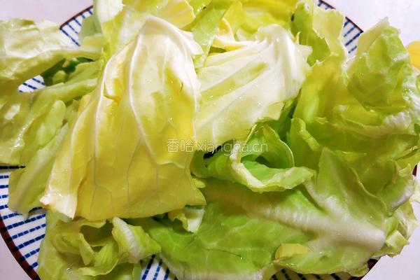 肉酱卷心菜的做法图解4