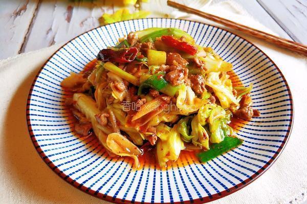 肉酱卷心菜的做法图解13