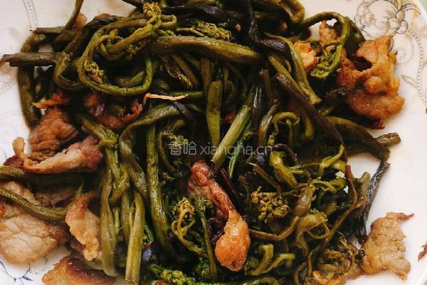 猴腿炒肉的做法图解5