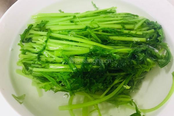 酱香茼蒿的做法图解3