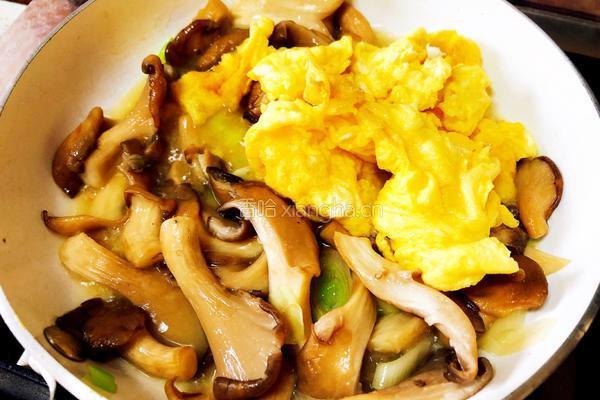 平菇炒鸡蛋的做法图解8