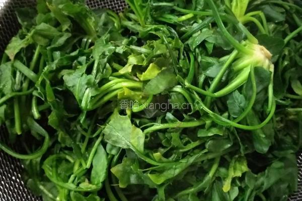 荠菜肉汤圆的做法图解1