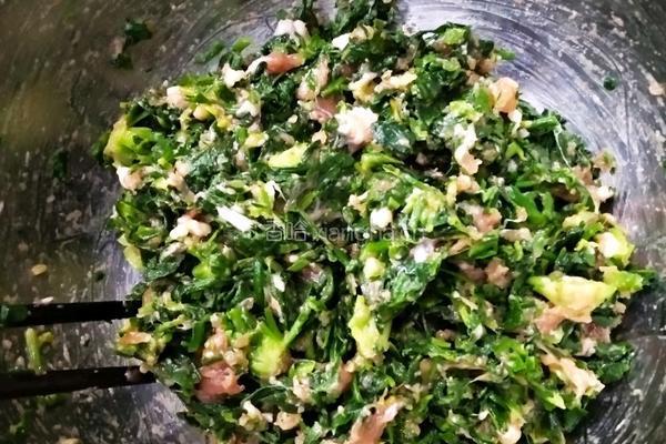 荠菜肉汤圆的做法图解3