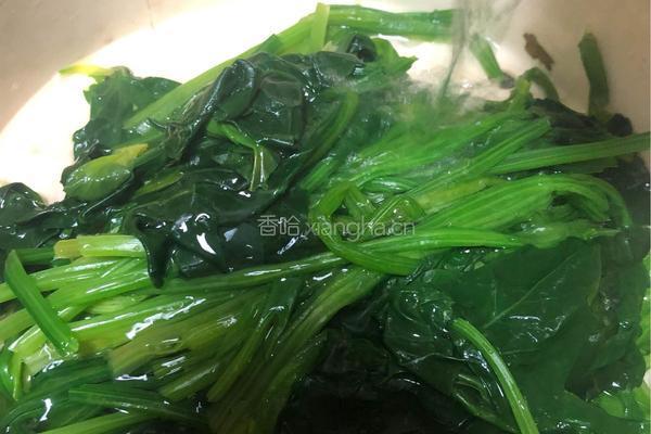 粤式－姜汁菠菜的做法图解4