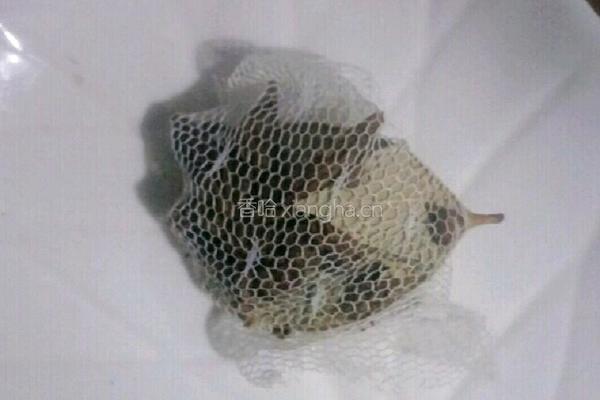 水晶猪皮冻的做法图解4