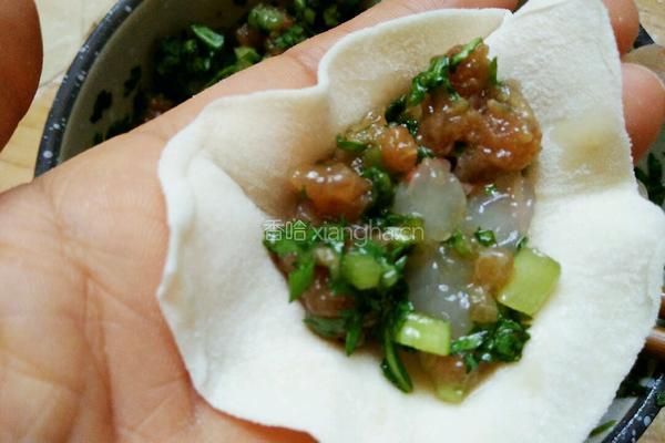 茼蒿虾仁水饺的做法图解11