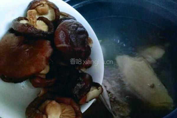 香菇炖鸡的做法图解7