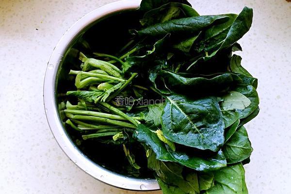 蒜蓉菠菜的做法图解1