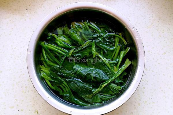 蒜蓉菠菜的做法图解3