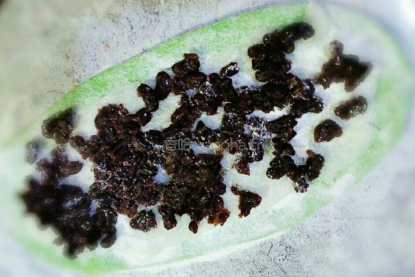 抹茶蜜豆麻薯软欧的做法图解10
