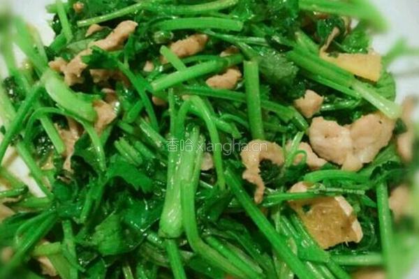 香菜炒肉丝
