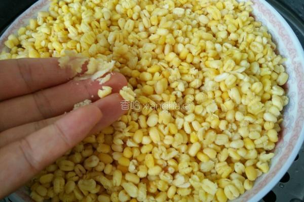 清甜绿豆糕的做法图解3