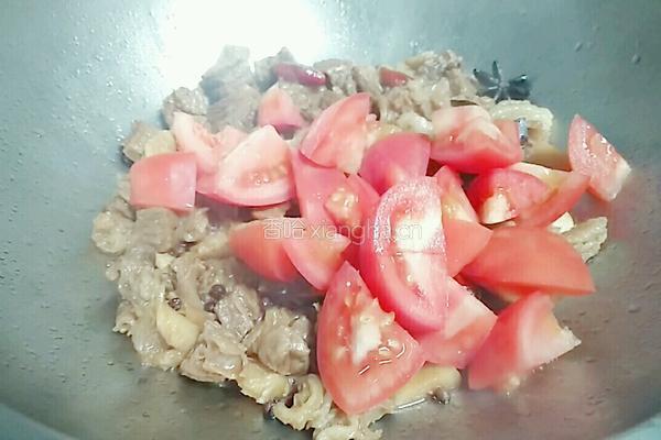 番茄烧牛腩的做法图解9