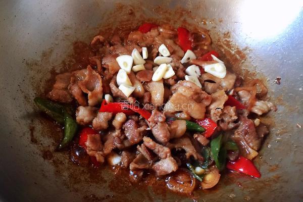 辣椒炒肉的做法图解11