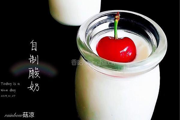 自制樱桃老酸奶的做法图解8