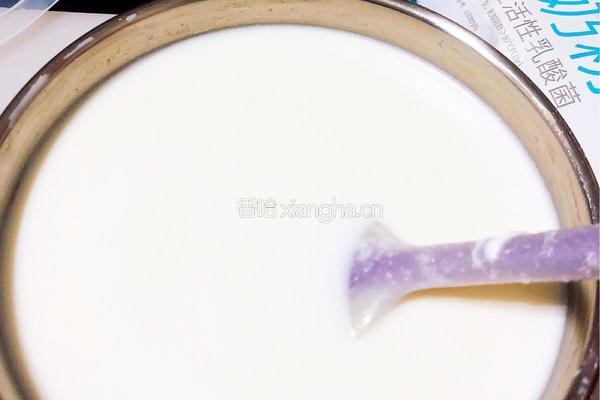 自制樱桃老酸奶的做法图解3