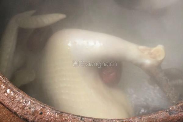 砂锅土鸡汤的做法图解5