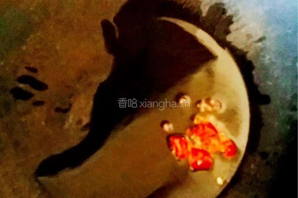 凉拌菜的做法图解4