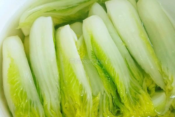 开水白菜