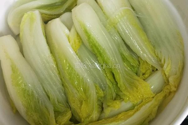 开水白菜的做法图解27