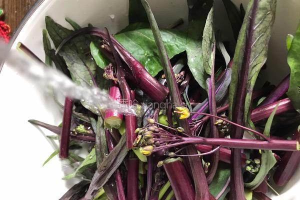 爆炒红菜苔的做法图解2