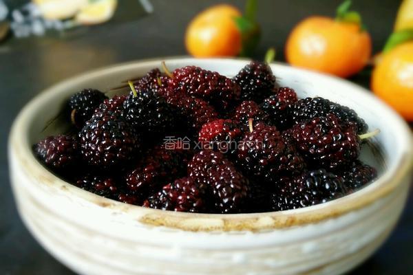 黑桑椹果汁的做法图解1
