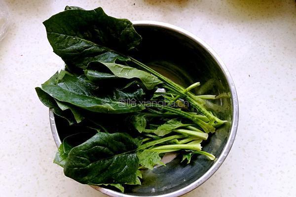 菠菜鸡蛋饺子的做法图解1