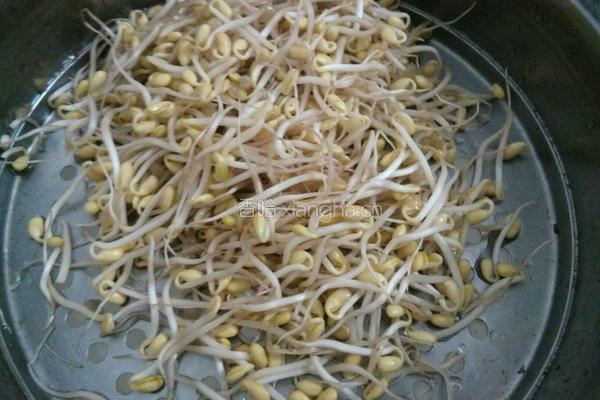 彩椒炒豆芽的做法图解1