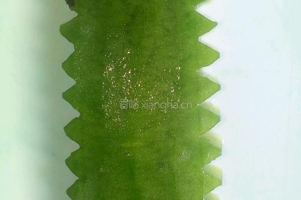 一帆风顺（满载而归）的做法图解11