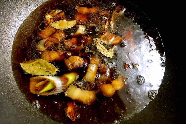 猪肉炖粉条的做法图解9