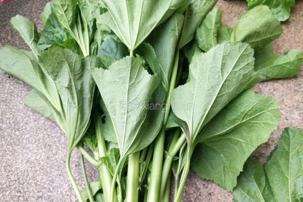 东苋菜粥的做法图解1