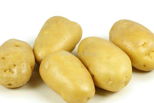 爆炒土豆片的做法图解1