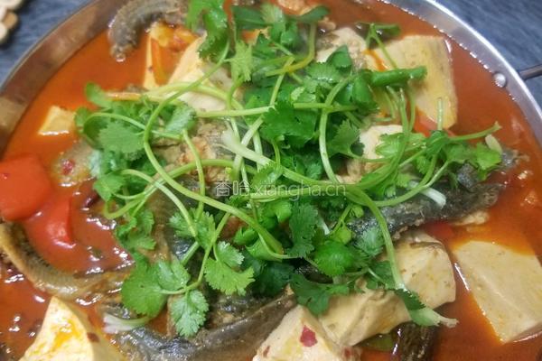 泥鳅炖豆腐的做法图解7