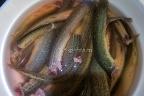 泥鳅炖豆腐的做法图解1
