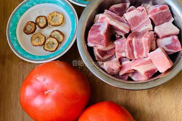 西红柿牛腩的做法图解1