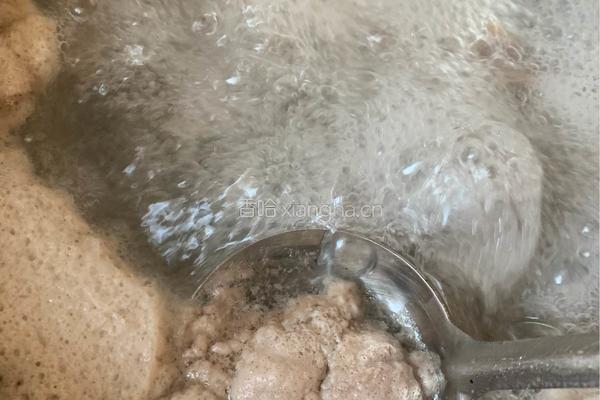 西红柿牛腩的做法图解4