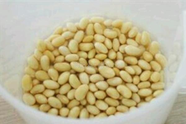 自做豆浆的做法图解1