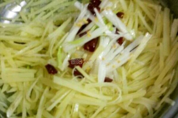 炝拌土豆丝的做法图解7