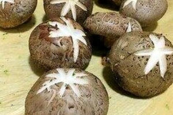 耗油西蓝花的做法图解1