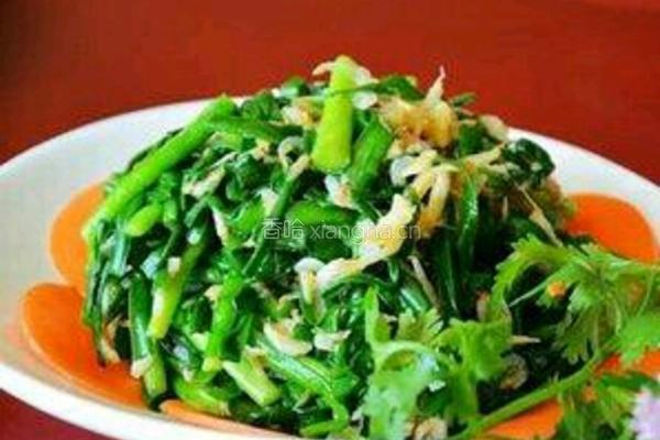 凉调韭菜的做法图解4