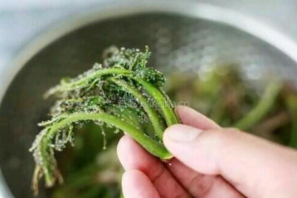 香椿小咸菜的做法图解2