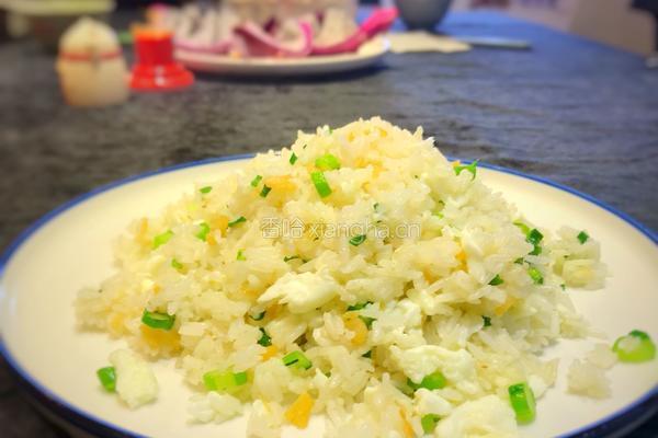 瑶柱蛋白炒饭的做法图解9