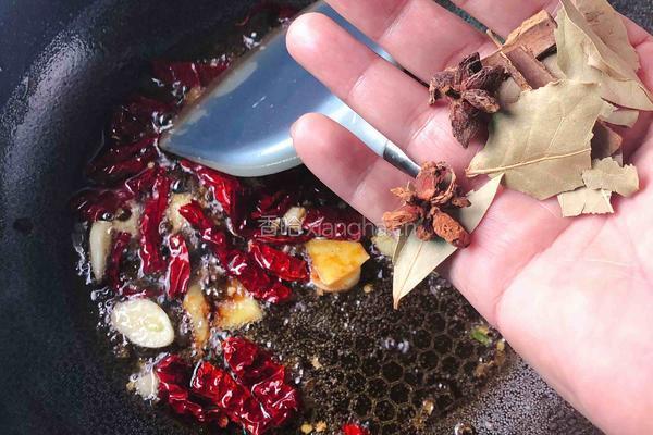 茨菇闷鸭的做法图解8