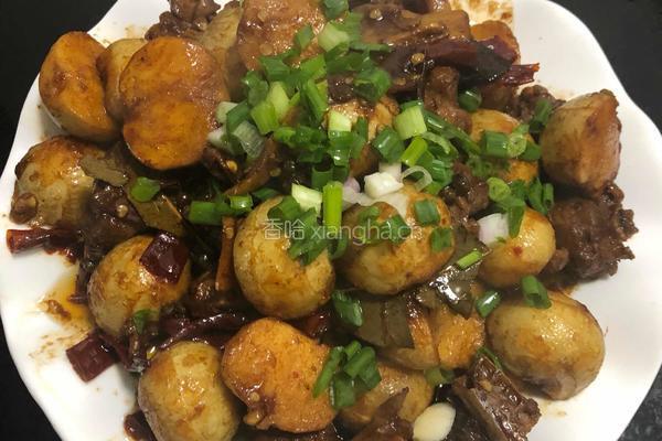 茨菇闷鸭的做法图解13