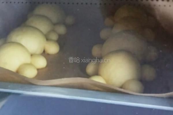 小熊面包的做法图解9